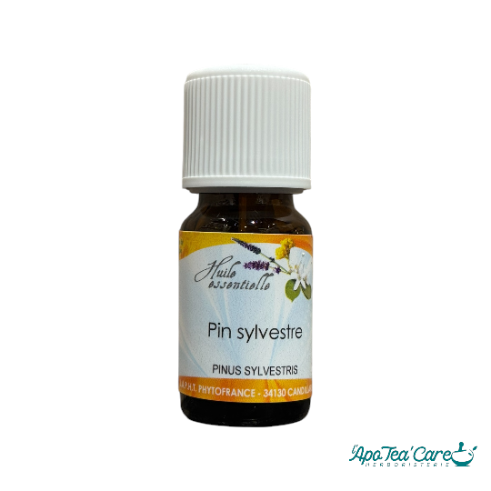 Huile Essentielle Pistachier Lentisque 10ml PhytoFrance Tonique - L'ApoTea'Care