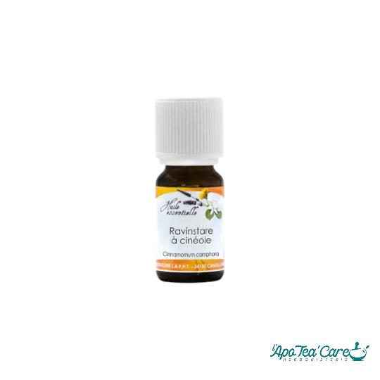 Huile Essentielle Ravintsara 10ml Phytofrance