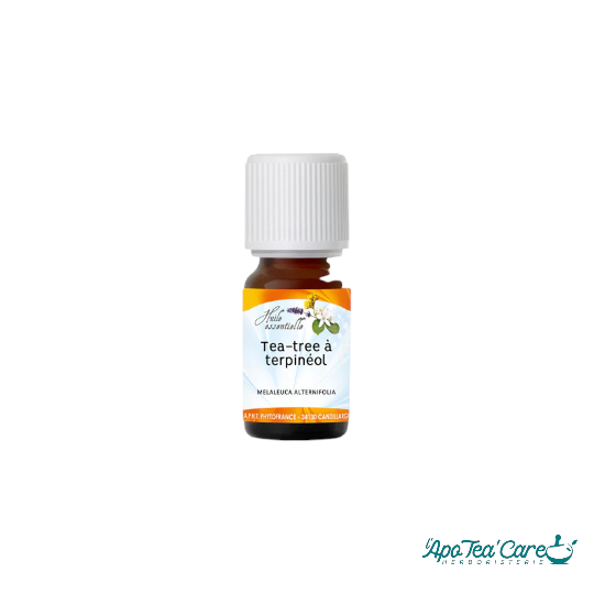 Huile Essentielle Tea Tree Melaleuca Alternifolia 10ml