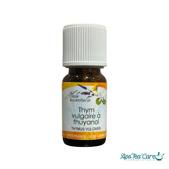 Huile Essentielle Thym à Thujanol - équilibrante et purifiante - L'ApoTea'Care Herboristerie