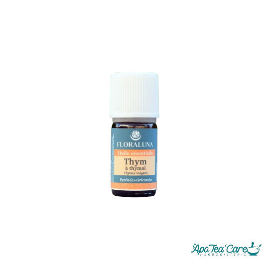 Huile Essentielle Thym à Thymol