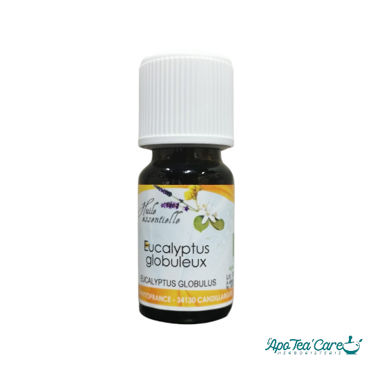 Flacon 10ml d'huile essentielle Eucalyptus Globulus PHYTOFRANCE – action respiratoire et purifiante