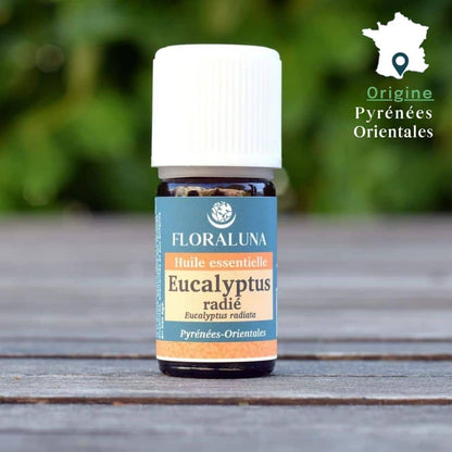 Huile Essentielle Eucalyptus Radié