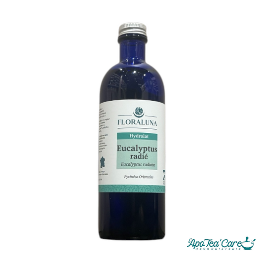 Hydrolat Eucalyptus Radié Floraluna