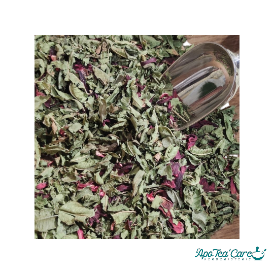 Infusion fraîcheur d'été - Infusion froide pour le plaisir - L'ApoTea'Care Herboristerie 