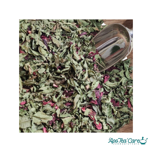 Infusion fraîcheur d'été - Infusion froide pour le plaisir - L'ApoTea'Care Herboristerie 