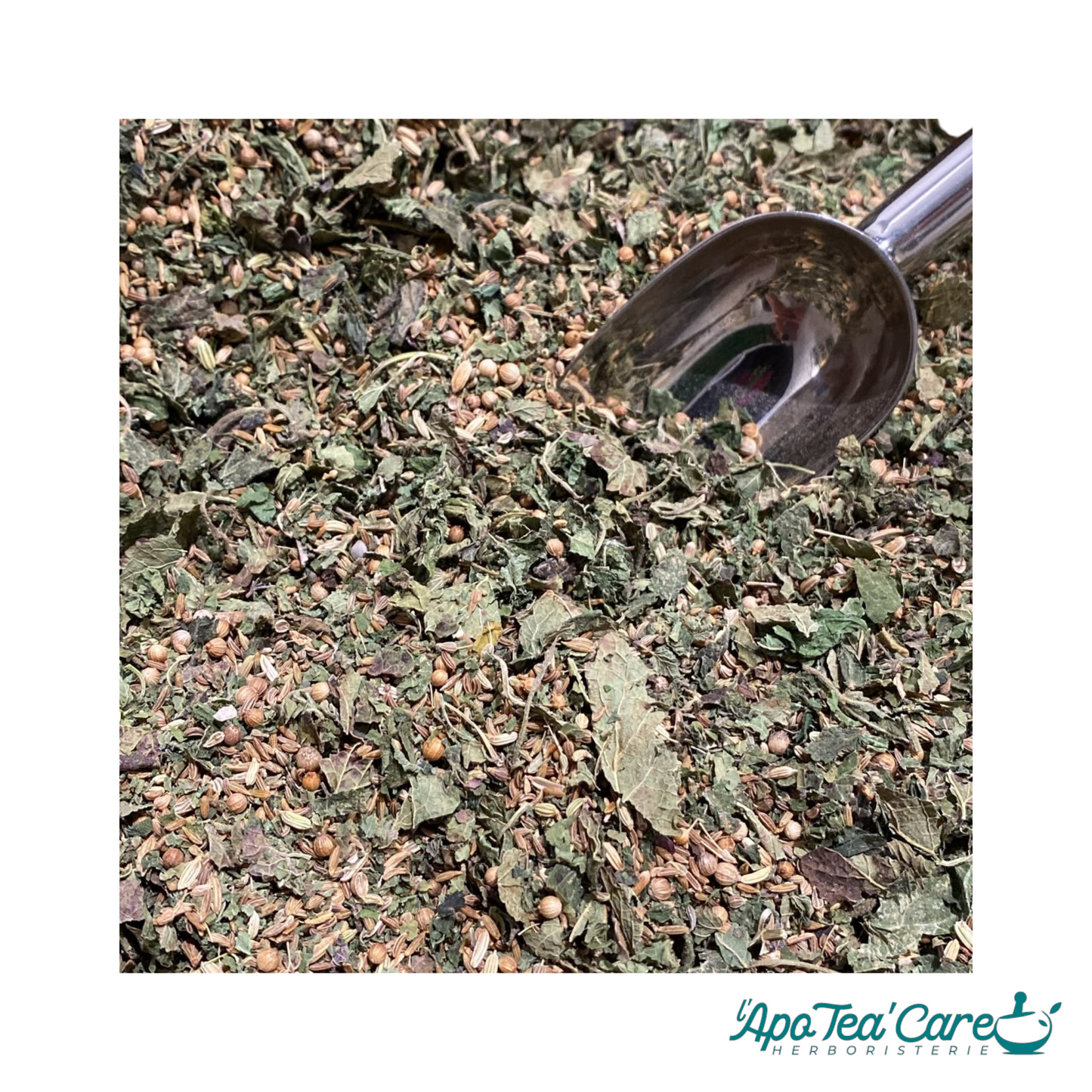 Mélange de plantes en vrac pour tisane allaitement — ortie, fenouil, mélisse, cumin et carvi — avec une pelle en inox, L'ApoTea'Care herboristerie