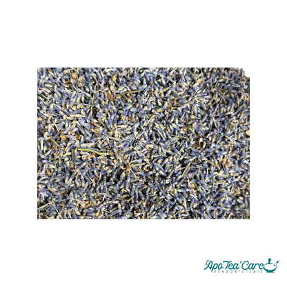 Lavande Tisane Bio Premium - Fleurs Qualité Supérieure | SICARAPPAM