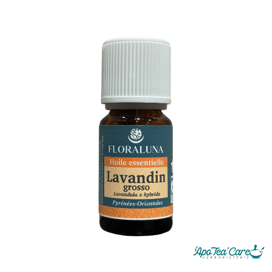 Huile essentielle de lavandin grosso Floraluna. Assainissante, favorise le sommeil -L'ApoTea'Care