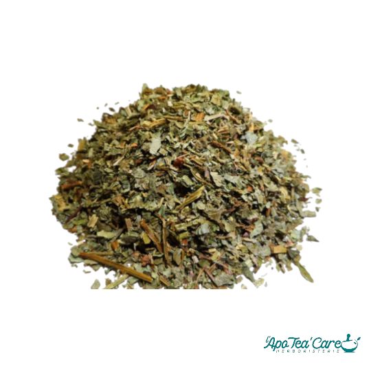 Lierre Terrestre Partie Aérienne Fleurie Coupée BIO