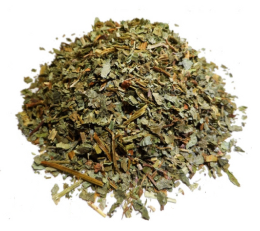 Lierre Terrestre Partie Aérienne Fleurie Coupée BIO