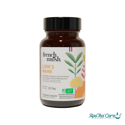 Gélules Lion's Mane