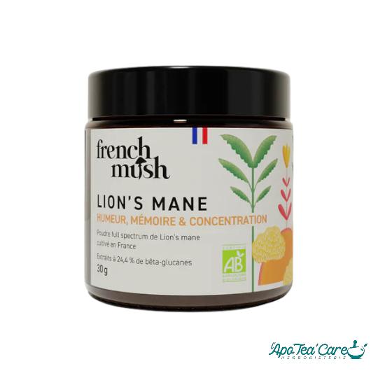 Poudre de Lion's Mane