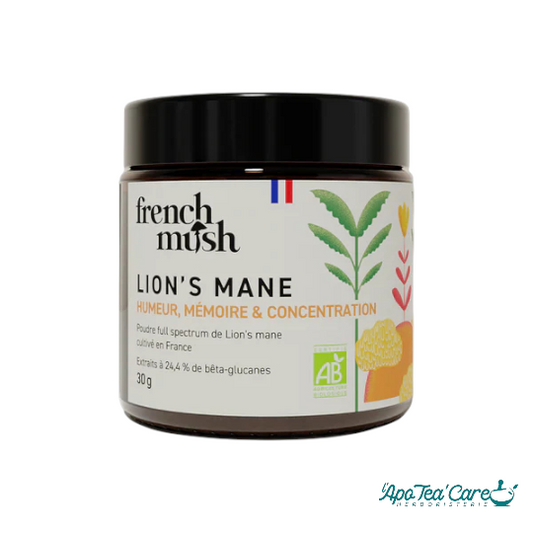 Poudre de Lion's Mane