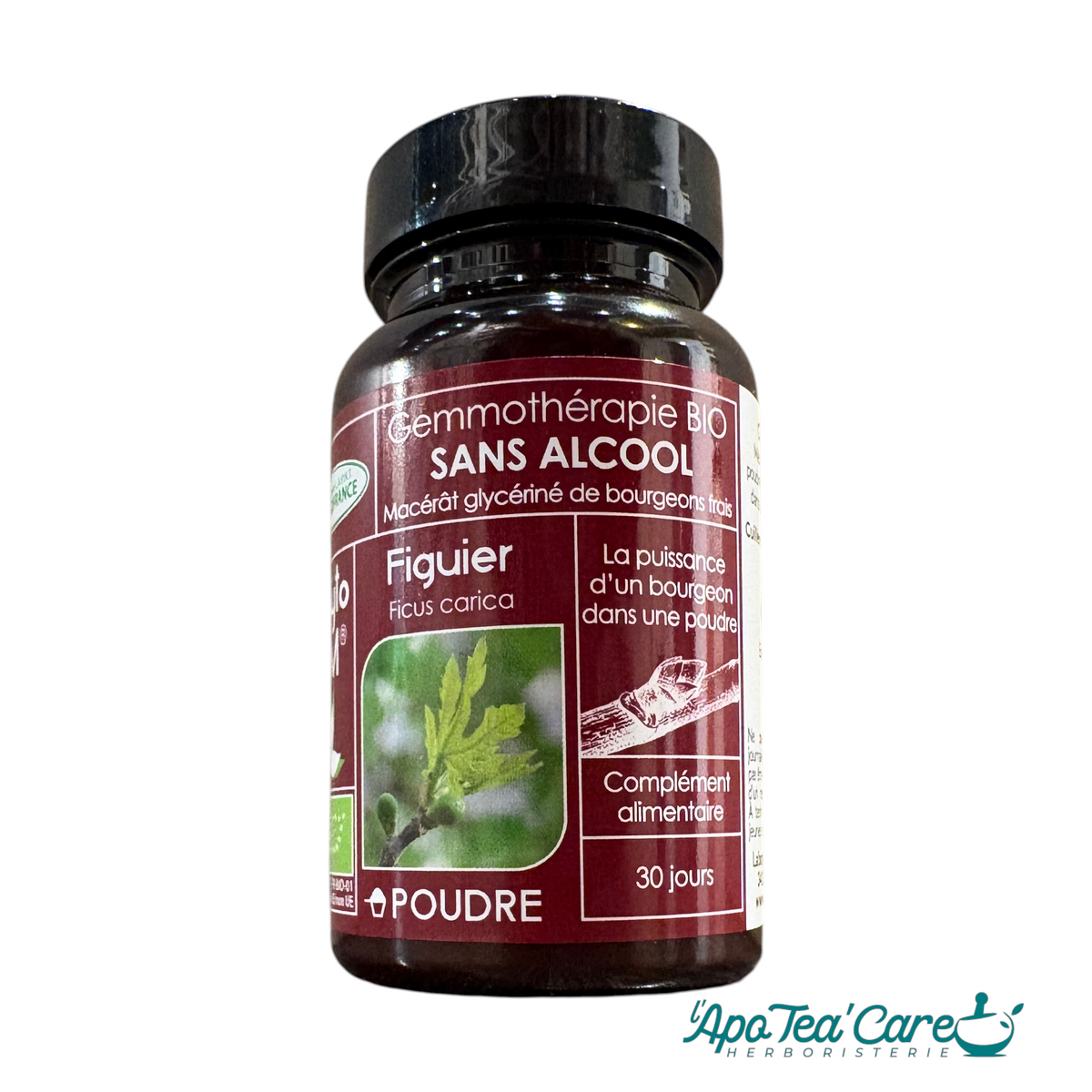 Macérat Phyto’gem Concentré de Bourgeons de Figuier BIO poudre sans alcool PhytoFrance