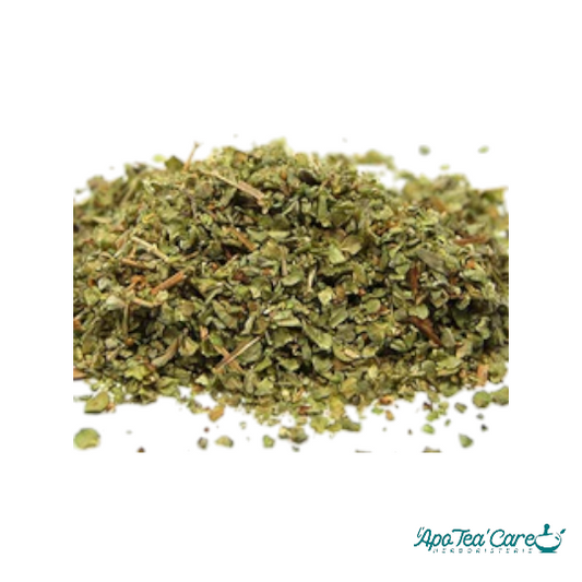 Marjolaine Feuille Coupée