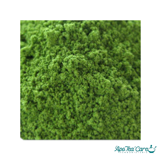 Thé vert Matcha Bio -100g