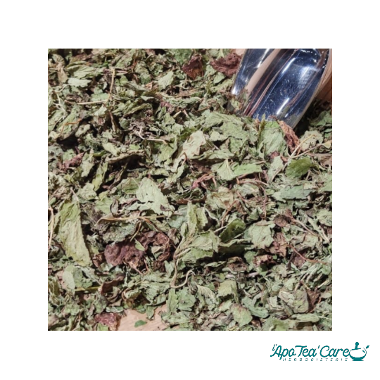 Mélisse Bio Feuille Entière - Relaxation & Digestion Naturelle L'ApoTea'Care