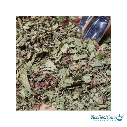 Mélisse Bio Feuille Entière - Relaxation & Digestion Naturelle L'ApoTea'Care