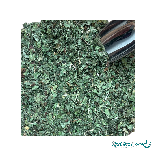 Mélisse Bio Feuille coupée – Relaxation, Sommeil & Digestion | Herboristerie