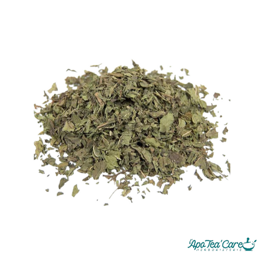 Menthe Nanah dite Douce Feuille Entière