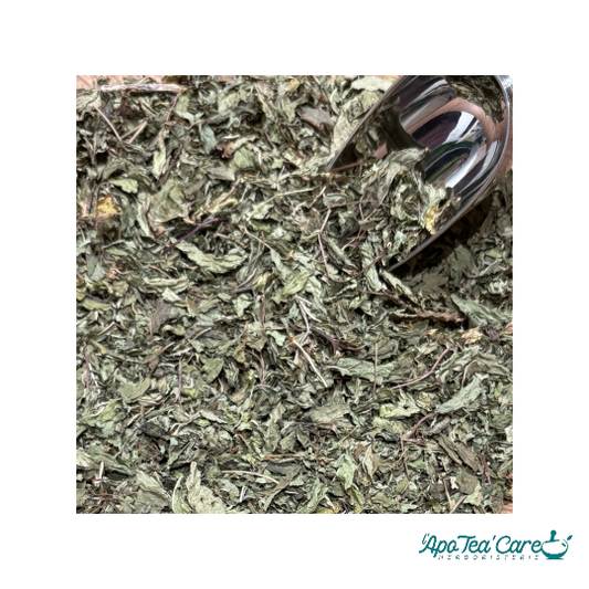 Menthe Nanah Douce Feuille Entière - Digestion &  Fraîcheur