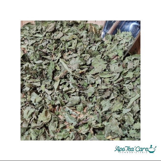 Menthe Poivrée Feuille Mondée Bio France - Qualité Premium