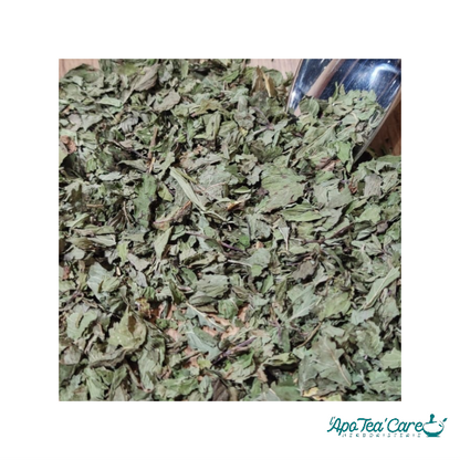 Menthe Poivrée Feuille Mondée Bio France - Qualité Premium