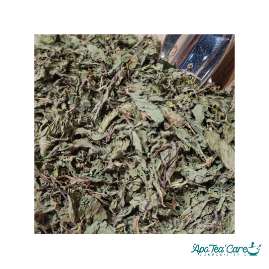 Menthe Poivrée Feuille Entière - Digestion & Fraîcheur Intense L'ApoTea'Care
