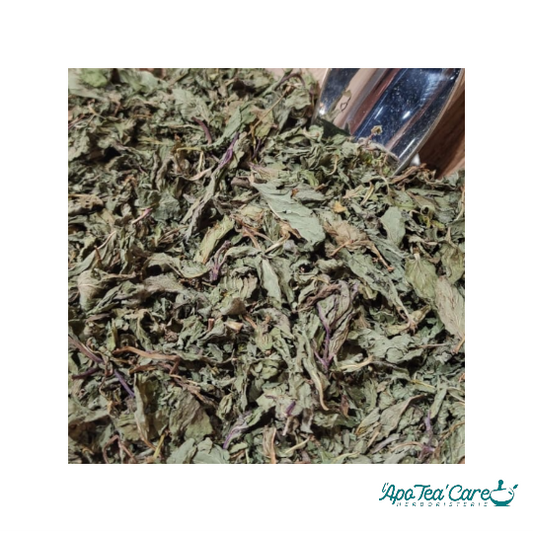 Menthe Poivrée Feuille Entière - Digestion & Fraîcheur Intense L'ApoTea'Care