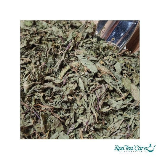 Menthe Poivrée Feuille Entière - Digestion & Fraîcheur Intense L'ApoTea'Care