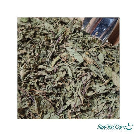 Menthe Poivrée Feuille Entière - Digestion & Fraîcheur Intense L'ApoTea'Care