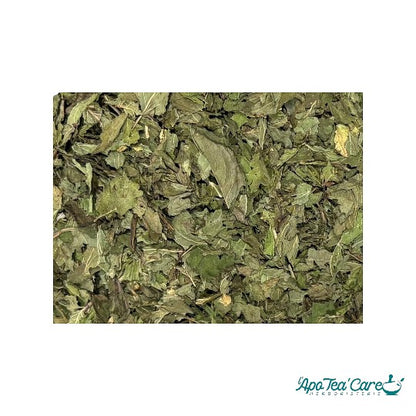 Menthe Poivrée Feuille Mondée Bio France - Qualité Premium