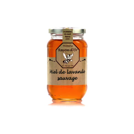 Miel de Lavande Sauvage dit Maritime