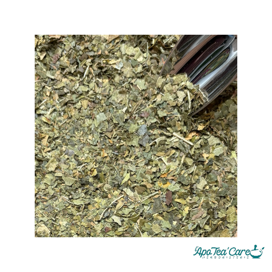 Mûrier Feuille Coupée - Glycémie & Métabolisme Naturel