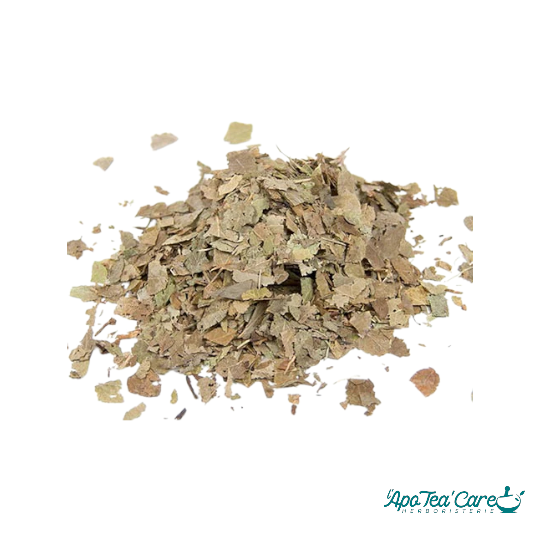 Myrtille Bio Feuille Coupée