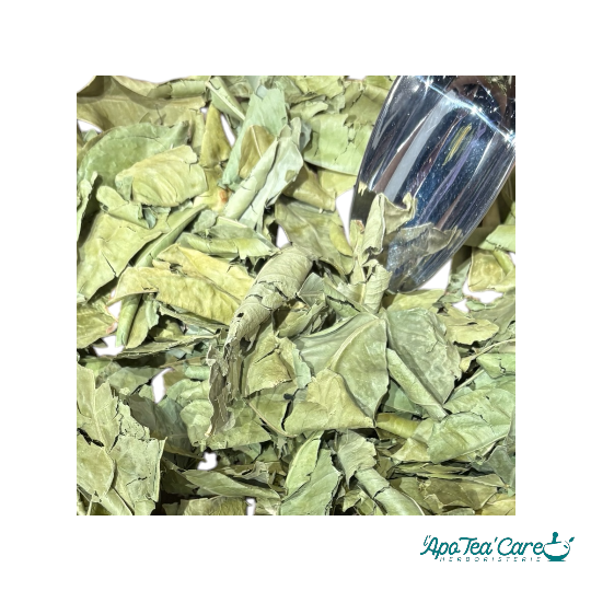 Oranger Bigaradier Feuille Triée - Relaxation &  Sommeil