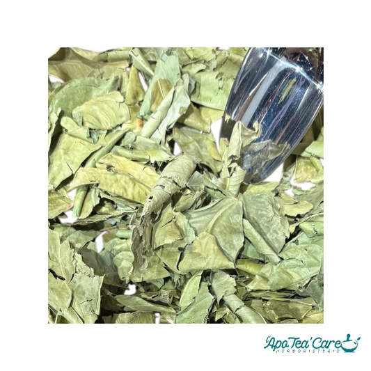 Oranger Bigaradier Feuille Triée - Relaxation &  Sommeil