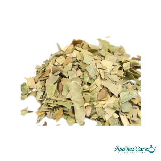 Oranger Bigaradier Feuille Triée