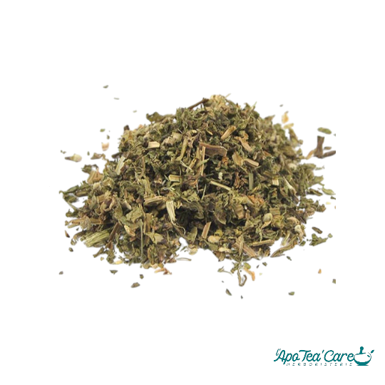 Ortie Blanche (Lamier Blanc) Sommité Fleurie Coupée