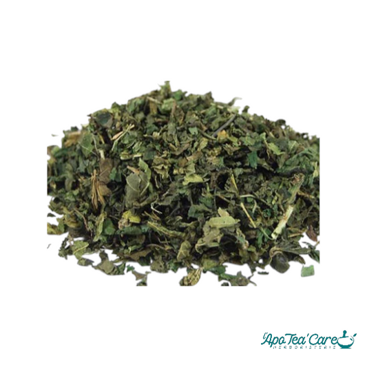 Ortie Piquante Feuille Coupée