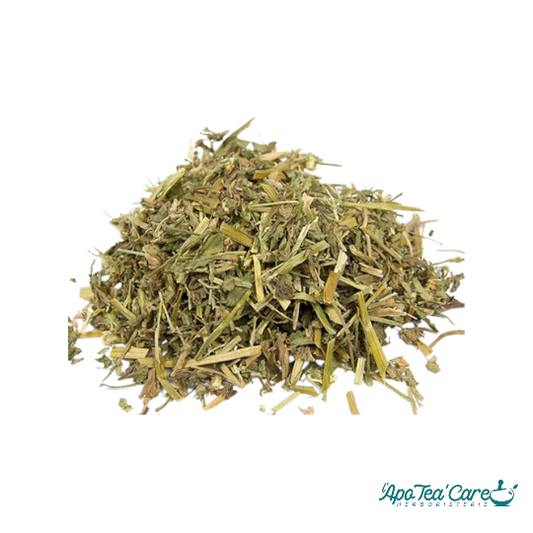 Pensée Sauvage Partie Aérienne Coupée