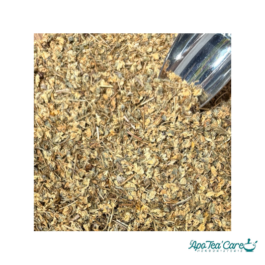 Pensée Sauvage Partie Aérienne - Peau &  Drainage Naturel