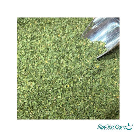 Persil Feuille Coupée - Drainage &Vitalité Naturelle