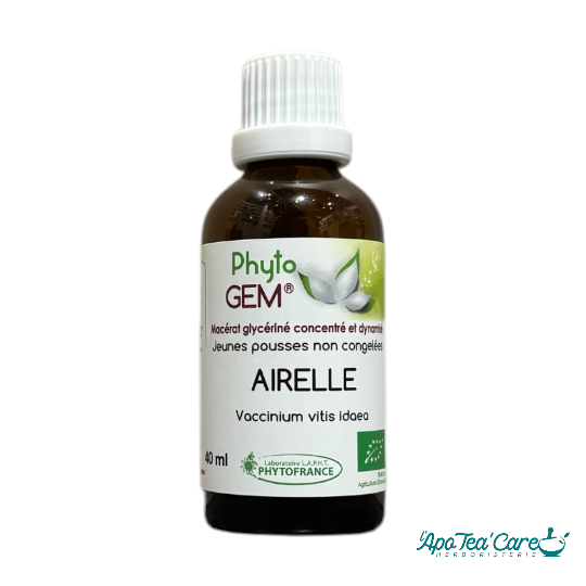 Macérat Phyto’gem Concentré de Bourgeons Airelle BIO 40ml PhytoFrance