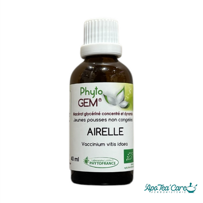 Macérat Phyto’gem Concentré de Bourgeons Airelle BIO 40ml PhytoFrance
