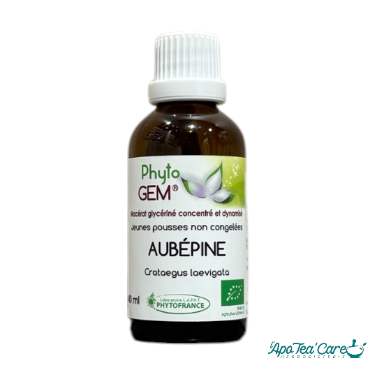 Macérat Phyto'gem Concentré de Bourgeons Aubépine BIO 40ml PhytoFrance