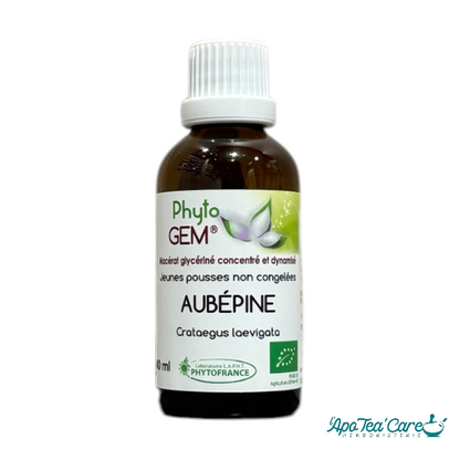 Macérat Phyto'gem Concentré de Bourgeons Aubépine BIO 40ml PhytoFrance
