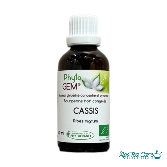 Macérat Phyto’gem Concentré de Bourgeons de Cassis BIO 40ml PhytoFrance