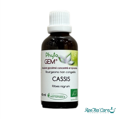 Macérat Phyto’gem Concentré de Bourgeons de Cassis BIO 40ml PhytoFrance
